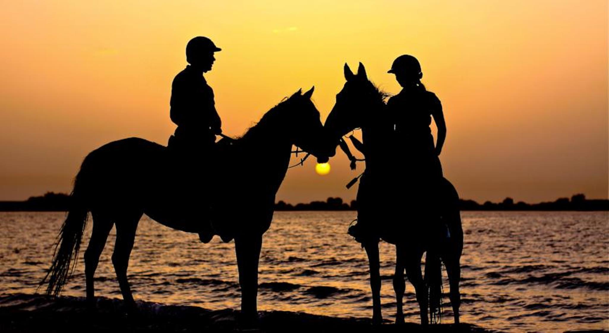 Anantara Sir Bani Yas Island Al Yamm Villa Resort Da'sah Dış mekan fotoğraf