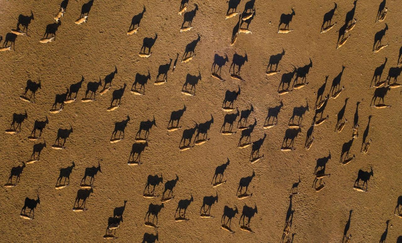 Anantara Sir Bani Yas Island Al Yamm Villa Resort Da'sah Dış mekan fotoğraf